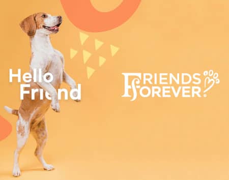 friends forever pets